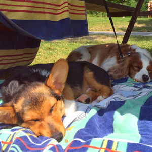 Meet your Posher, Serena